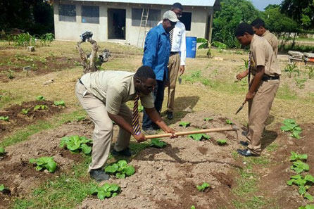 Ardenne High School Farm